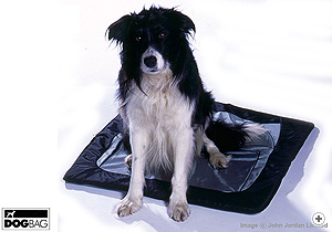 Dog Mats by Dog Bag